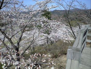 今年は早い！！
