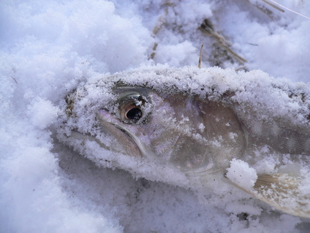 今年・・・最後の釣行(^o^)v