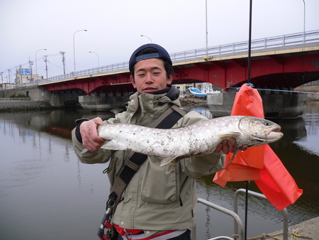 本命が釣れない19・・・・((((゜д゜;))))