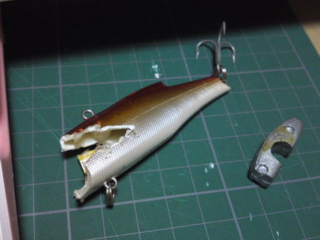 やっぱり始めてしまいました！・・・・(^o^)v