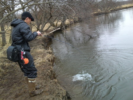 釧路川本流釣行！・・・・其の⑬(^o^)v