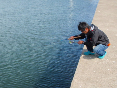 今、旬の魚を・・・・(^o^)v