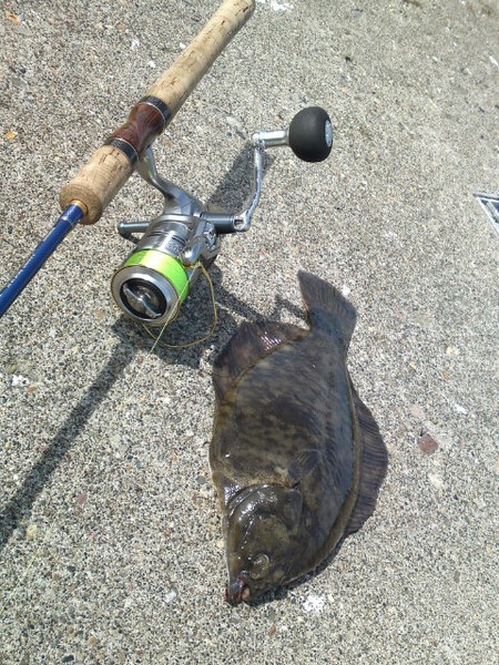 今、旬の魚を・・・・(^o^)v