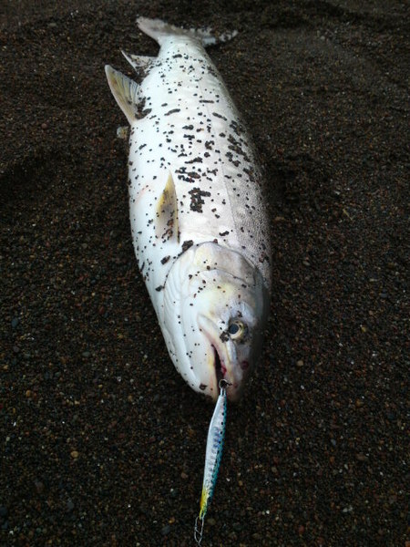 いつ、ダイヤが出るのかとヒヤヒヤ砂浜・・・・(^o^)v