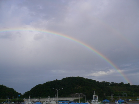 カラフトは・・・？