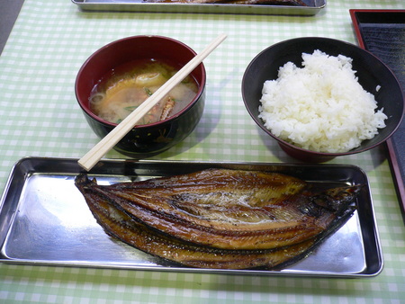 カラフトは・・・？