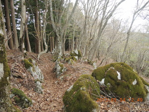 130502_大峰奥駆道_八経ヶ岳－吉野パート（３日間）