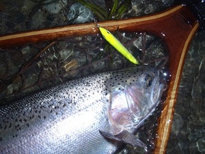またまたクッシーを求めて・・・