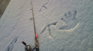 -10℃の世界