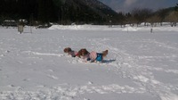 清見で雪遊び