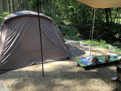 お盆連休の直前に　林間満喫のひるがの高原キャンプ場　2019年8月8日～10日