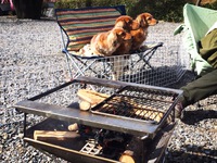 近場で昼焚き火 大津谷公園 2015年11月01日 2015/11/01 23:48:11