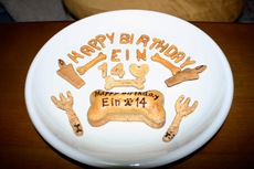アインの14回目の誕生日 2017/02/26 22:27:39