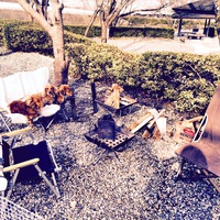 大津谷公園でデイキャン 2015/03/22 15:53:24