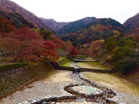 紅葉散歩 2015年12月06日 養老の滝 2015/12/06 22:35:33