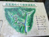 久しぶりの小山散策 岐阜県八百津 2015年11月21日 2015/11/23 09:50:30