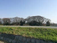 いい天気 2015/03/21 09:40:55