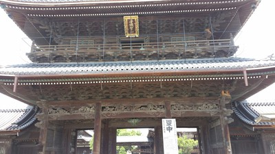祭り巡りの日