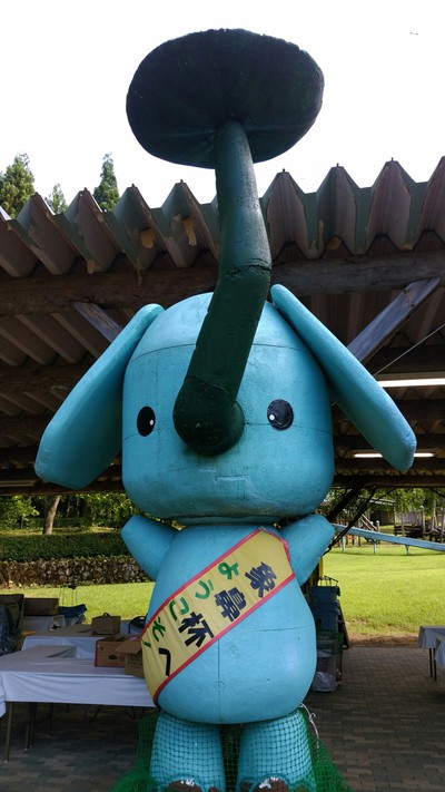 祭り巡りの日