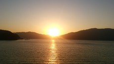 今年もやってきた‼ 2017/11/10 18:06:40