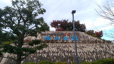 丹南方面紅葉狩り