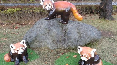 丹南方面紅葉狩り