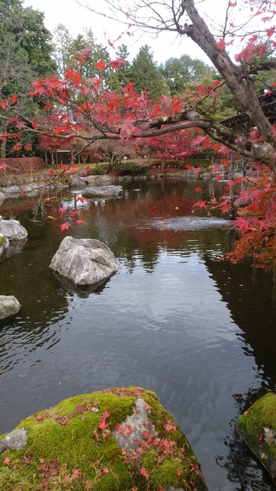 丹南方面紅葉狩り
