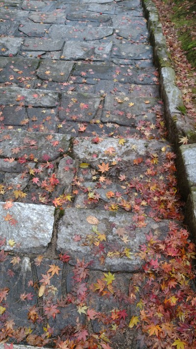 丹南方面紅葉狩り