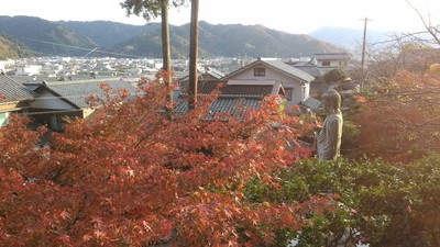 丹南方面紅葉狩り