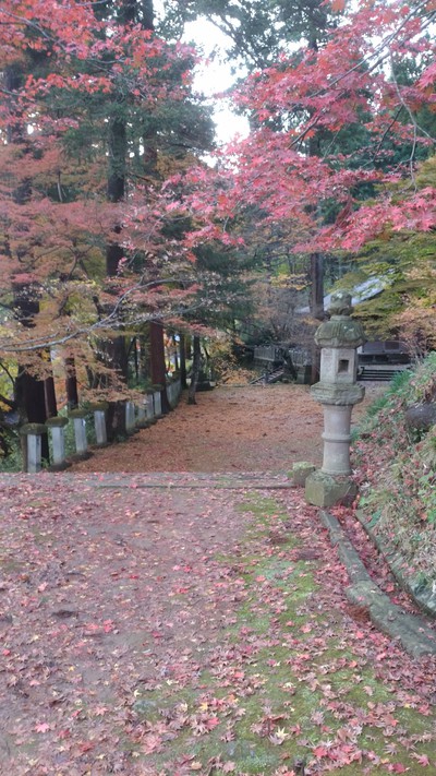 丹南方面紅葉狩り