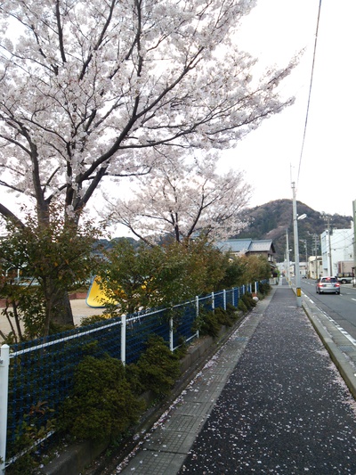 いつまで続くかな??