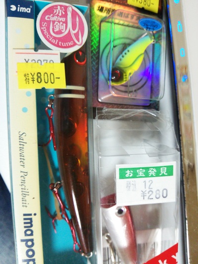敦賀秋アオリ開幕