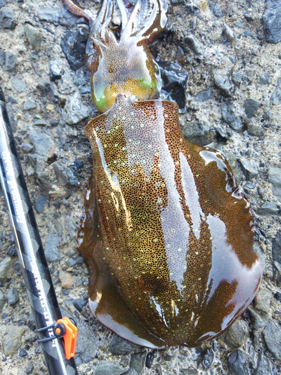 石窯酒場「あいろんバル」へ行ってきた ～B編～