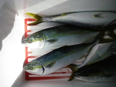 リベンジ釣行