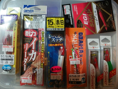 修行中 ～イカメタル～