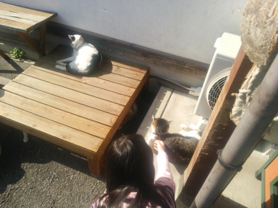 癒しとデカ盛りスポットへ