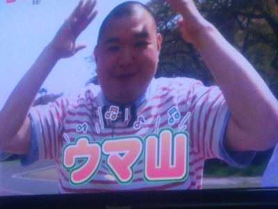 週末敦賀オフショア便