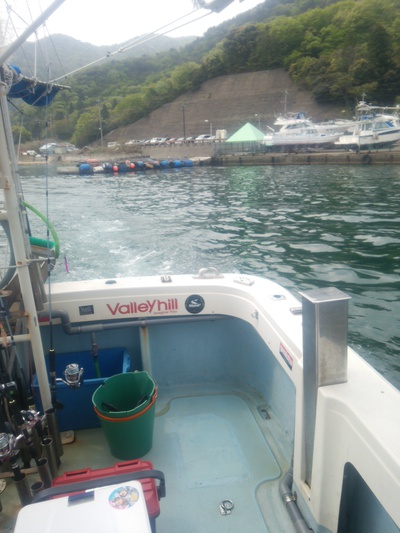 週末敦賀オフショア便
