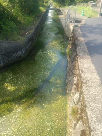 飲み会と釣り小物買い出し♪