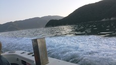 2018初イカメタル 2018/06/08 17:12:57