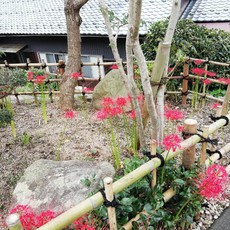 お彼岸シーバス 昼 2018/09/26 09:29:51