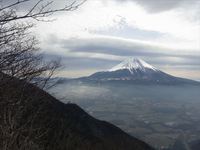 大満足　もっさりもさもさ　毛無山　