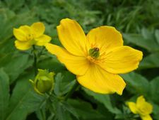 南に帰る旅　茶臼岳 2日目