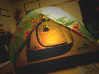 家キャン!!!　2013.11.15 2013/11/15 21:13:14