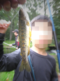 Fishing in 御影の滝 山女魚園 2013.8.24