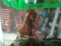 新しい家族。。。 2012/01/20 20:58:26