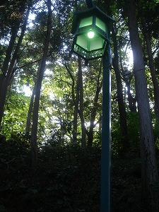 ウン十年ぶりの山登り 高尾山