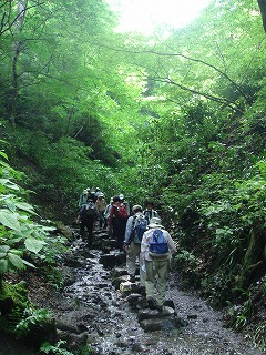 高尾山　6号路～稲荷山コース