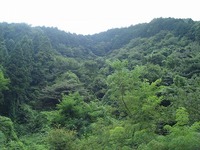 影信山 ～ 小仏峠　(vol.2)