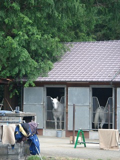 MTBに乗って☆野川周辺